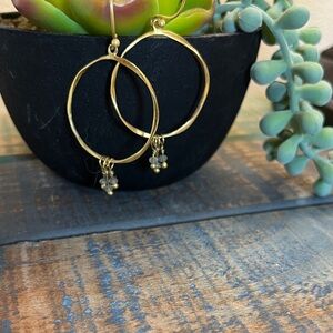 Elegant Gold Hoop Earrings